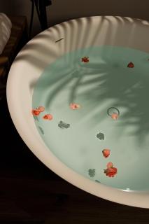 Tenuta Tommasi - Relais Bacco - Caorle - 1