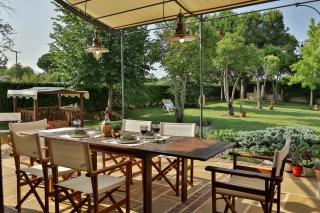 Οlives and Vines all seasons villa - 8