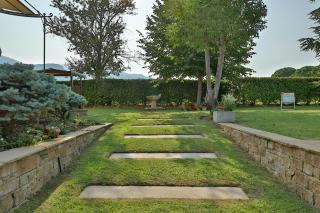 Οlives and Vines all seasons villa - 5