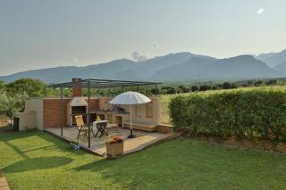 Οlives and Vines all seasons villa - 4