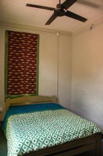 Zelenaiplava dormis - 1