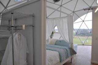 Mile End Glamping - Yelverton - 6