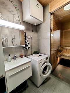 The Arctic Dream - 8