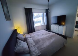 The Arctic Dream - 6