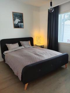 The Arctic Dream - 2