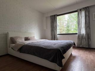 Valkjärvi Sauna on the Lake - 9