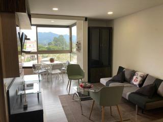 Beautiful Loft close to airport,pool gym & parking - 0