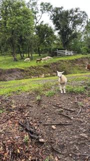 Casa do Bem Estar Picada Café - 9