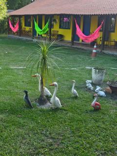 Pousada Araquari Hostel - 5