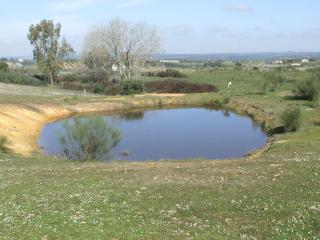 Finca El Chorrillo Studio - 9