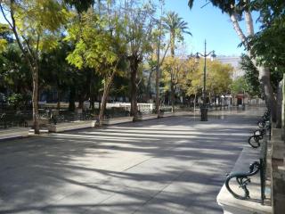 Große Wohnung In Cádiz, Kathedrale In Der Nähe - 8