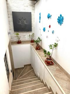 Cento Passi dal Mare - 1