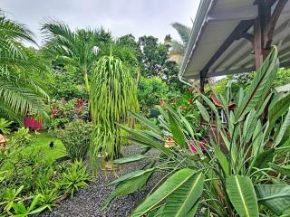 Villa créole zen - 1