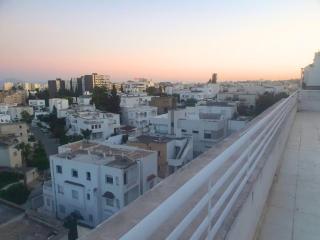Luxury S2 Apartment with Huge 96m2 Terrace in the Heart of Ennasr City - Internet Fibre - 5