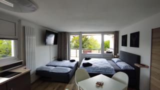 Apartment 2 mit Blick über den Bayrischen Wald ruhig und sonnig - 8