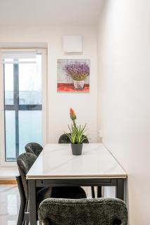 Cozy airport apartment - 3