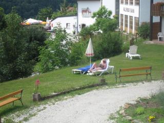 Gemütliche Ferienwohnung Mit Blick Auf Die Donau - 6