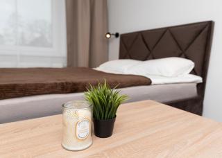 Cozy airport apartment - 5