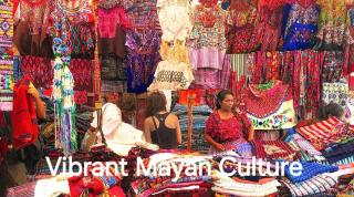 Cheap Digs w Great Terrace and Perfectly Located - 4