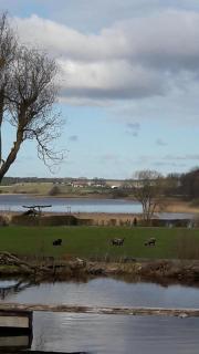 Ferienhaus Am See In Blankensee Groß Schönfeld - 4