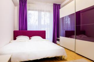 Elegant Central Stay - Targul de Craciun Craiova - 9