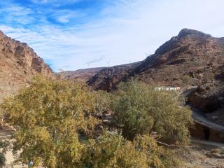 تعاونية تافغوݣت ميبلادن - 5