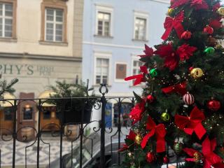 Studio Melichar Trost - Prague - 8