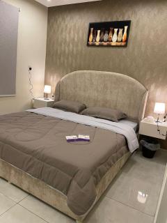 شقة راقية بدخول ذاتي - 5