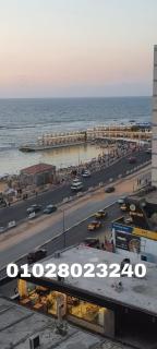 اسكندرية العصافرة - 0