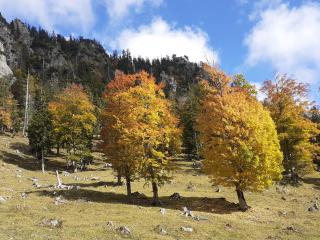 Ferienwohnung Adlerhorst im Haus Lohrey - 4