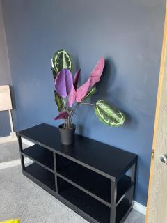 #84 Large JQ apartment sleeps 9 - 8