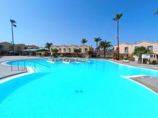 Green Holiday Island - 9