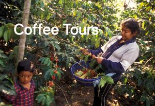 Magical Lakehouse Steps From All the Fun - 1