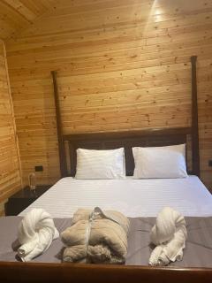 Cherry hut - Ajloun - 6