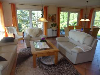 Ferienhaus Vogtlandresidenz - 3