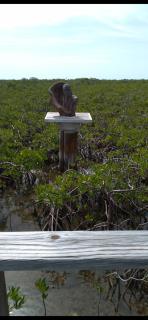 Small's Cozy Rest 6 Efficiency - 1