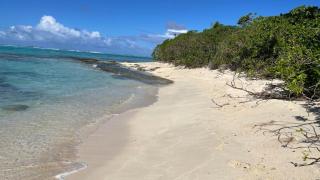 HUAHINE- Fare Arc-en-Ciel - 2