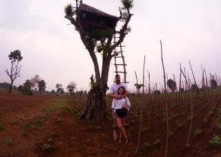 Safaria Lodge Wilpattu - 4