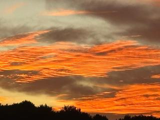 Para un poquito oasis - 5