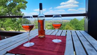 Villa Silberborn A9 - 7