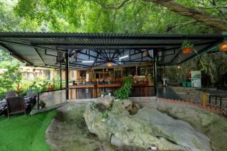 Trang An Legend - 7