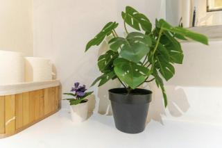 Central 2Bed,2Bath, Balcony Apartment Near New Street, Mailbox & Canals at Skyline Apartments - 1