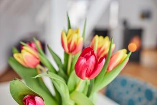 Komfortables Ferienhaus In Purer Natur - 2