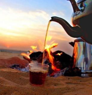 Die ägyptische Wüste - 3