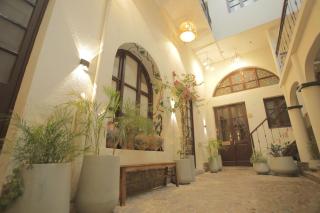 Hotel Boutique Pata y Perro - 8