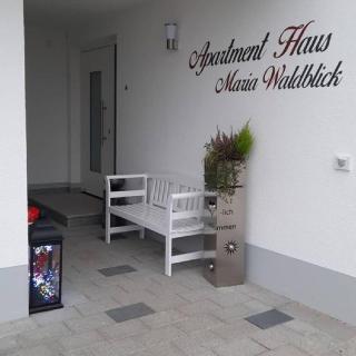 Schöne Ferienwohnung In Oberwaldbach - 1