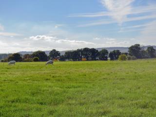 The Old Bull Pen - 1