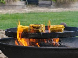 The Butterchurn - Uk50805 - 1