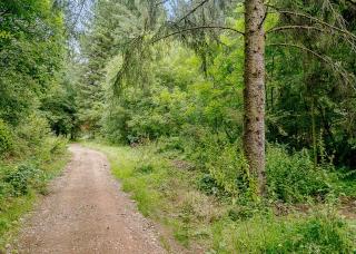 Hornbeam Country Park - 4