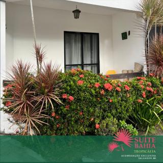 Suite Bahia tropicalia - 7